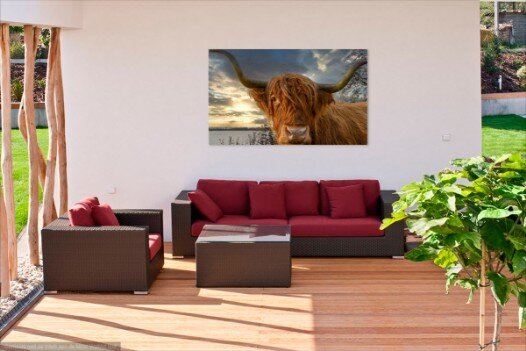 Vind hier de mooiste foto's van dieren