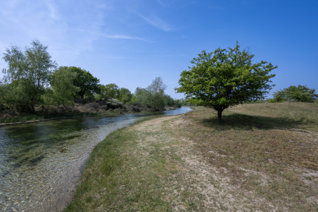 Duinlandschap Amsterdamse Waterleidingduinen met kristalhelder water