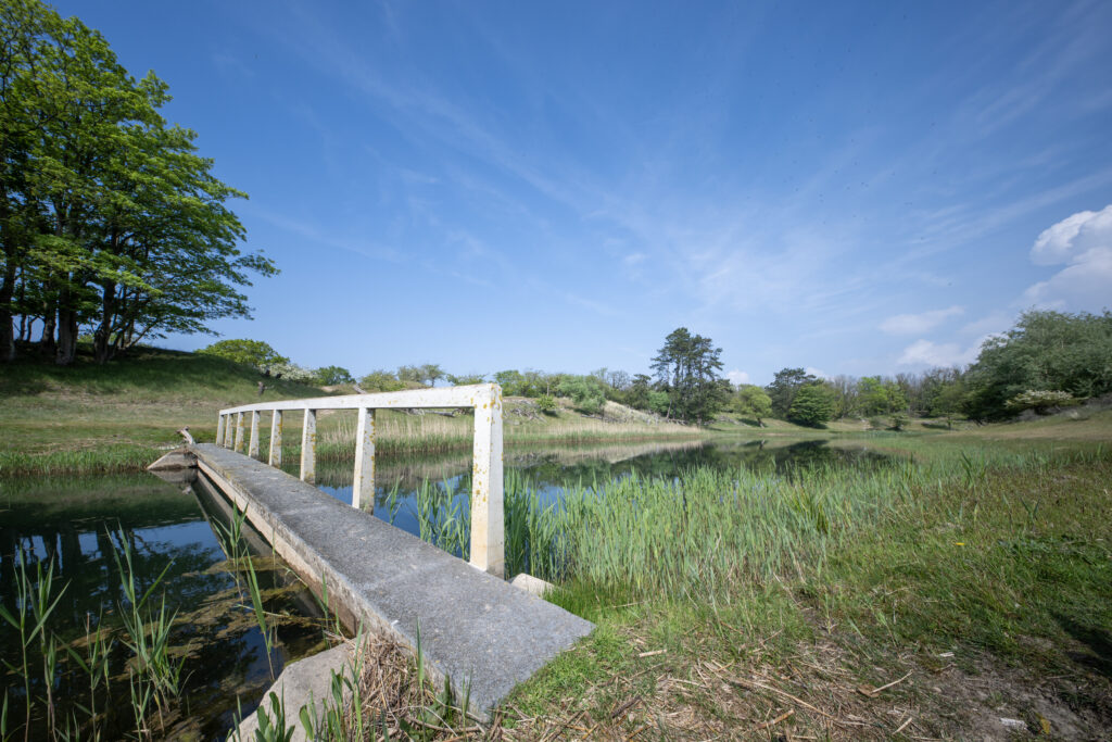 Bruggetje over kanaal Amsterdamse Waterleidingduinen