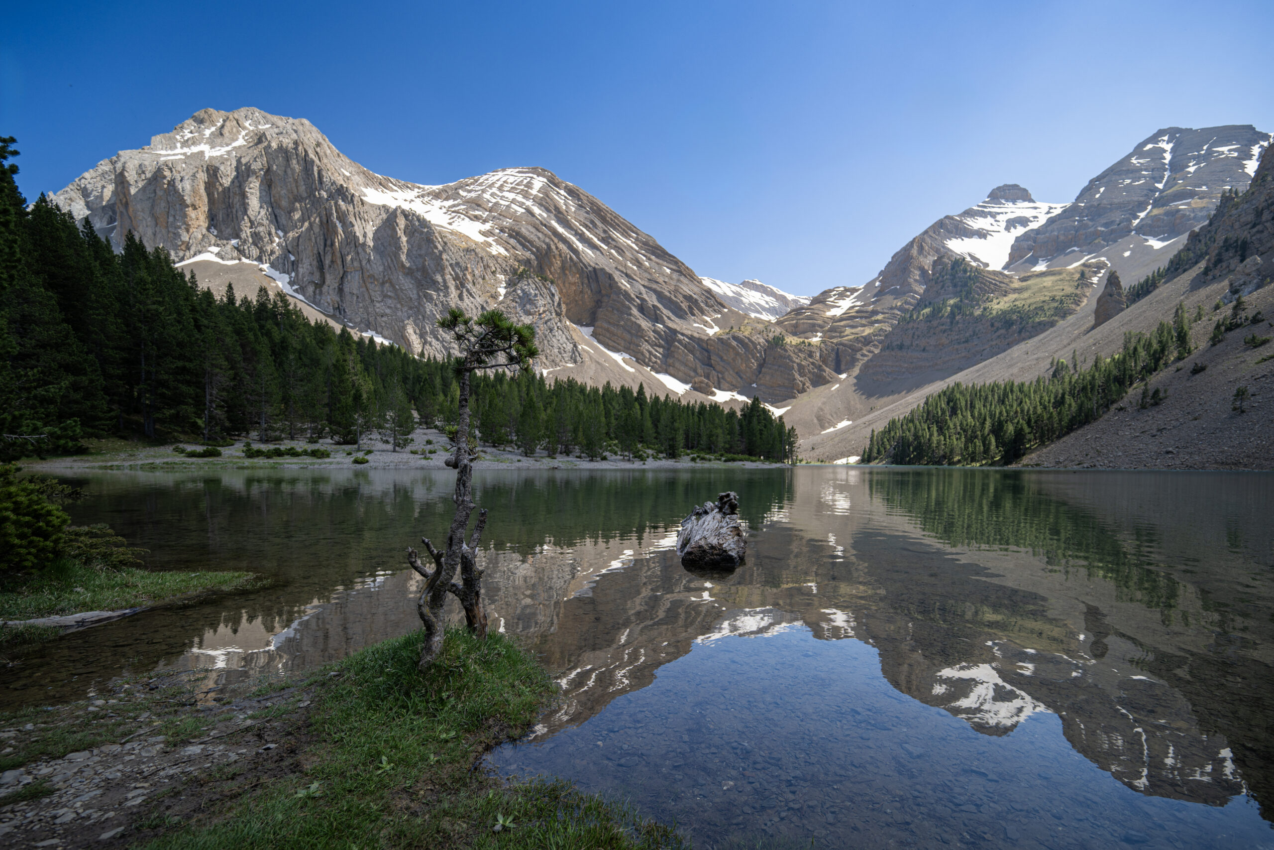 Roadtrip pyreneeen, Dag 7: De gele bloemenzee en het magische Basa de la Mora