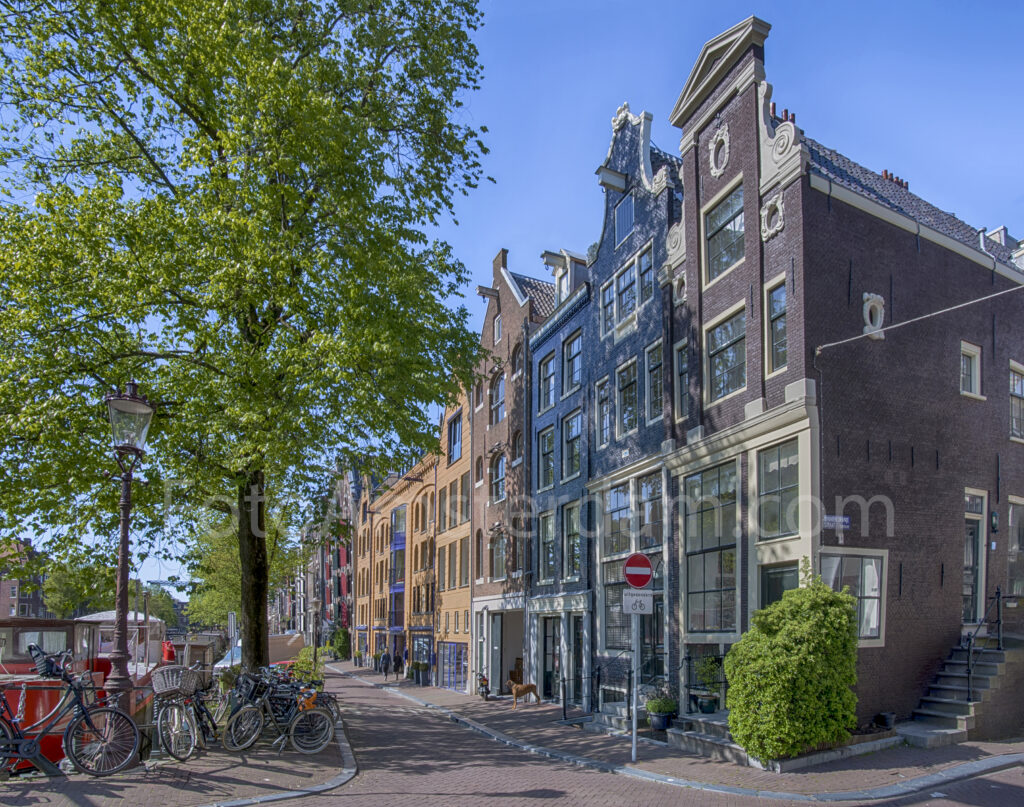 Fresh spring greenery surrounding historic canal houses on Brouwersgracht in Amsterdam