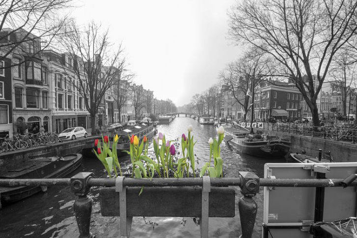 Prinsengracht canal with spring flowers – Amsterdam must see